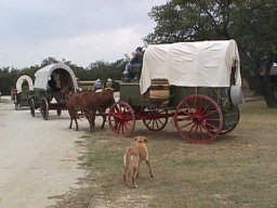 wagon train sets off