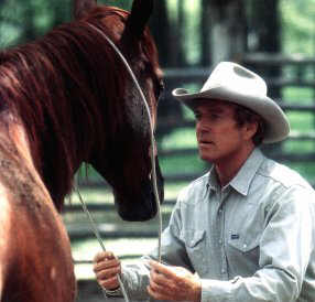 Robert Redford - The Horse Whisperer